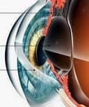 Nancy Sandoval Corimayta