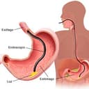 Juan Pablo Ames Laura